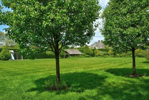Yard
