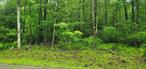Enjoy this peaceful .86-acre parcel, perfectly situated on a quiet rural road in the Town of Fallsburg.