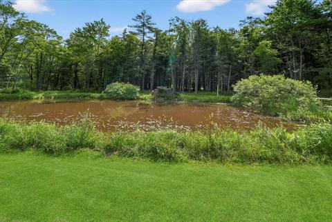 Pond