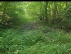 Beautiful secluded building lot! Located on a cul de sac. Now, Imagine driving onto a private tree lined driveway, alongside historic stonewalls. As you reach the crest of the hill, the land levels out and opens up to a beautiful secluded area and brings you to the perfect building site! With the sun beaming into your backyard area in the afternoon it&rsquo;s the perfect location for a pool, playground or gardens! There is a natural spring in the back right hand corner! Imagine being able to drink spring water right from your own backyard!!! Previous owner dug a 30x60 foundation hole with this spot specifically located to have second floor views of Orange lake in the back yard and mountain views of Storm King and Mount Beacon from the front. Want complete privacy? There are 60 acres behind you that go to the lake. This lot is even located in a no-fly zone! And if you&rsquo;ve lived in Newburgh, you know how important that is, imagine NO Airplanes flying over your house or drones either! Utility service lines have been brought to a control box at the bottom of the driveway.Shovel ready lot! Perk tests already done and approved for a four bedroom home with an in ground septic system which will save you a boatload of money! Conveniently, located in the desireable Orange Lake district of Newburgh and just a few miles from the I87/I84 intersection. You would be moments to Stewart Airport and/or be able to stroll along the waterfront and dine in the restaurants or take a ferry ride over to the Beacon train station, you are just one hour to NYC. .