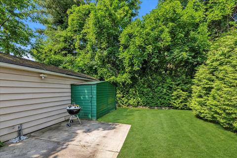 Yard