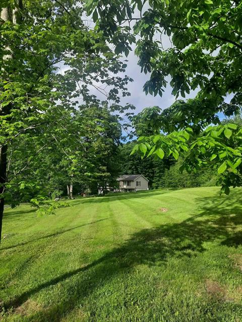 Yard