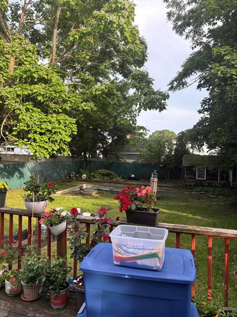 Yard