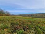 Set on the back roads of Hurleyville awaits your dream home site. 38.66 acres consisting of fields,  over 700 ft of road frontage along with the same 700 ft of river front on the East Mongaup River. Build your dream home set high up on the fields overlooking the river along with the large portion you own beyond, which borders the paved rails to trails. Current owners use the land for recreational use preserving its natural beauty. The property is minutes to main street Hurleyville for dining and entertainment. Property can be purchased with adjoining parcel which does include a home, barn, and pool mls#880922