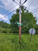 Come and take part in this beautiful, large parcel of land (25.93 Acres) in a quiet, peaceful residential area. Zoning is R1, Low Density Residential. ATV trails, Hiking, Hunting, Wooded and some cleared areas. Corner lot for additional privacy. Build your forever home or your amazing weekend getaway and begin to enjoy your own piece of paradise in the desirable Catskill Mountains of Sullivan County. Just minutes to Livingston Manor, Roscoe for fly fishing, Callicoon and Jeffersonville and the Delaware River for rafting, canoeing and tubing and the convenience of local eateries and shops.