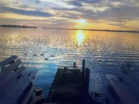 Dock
