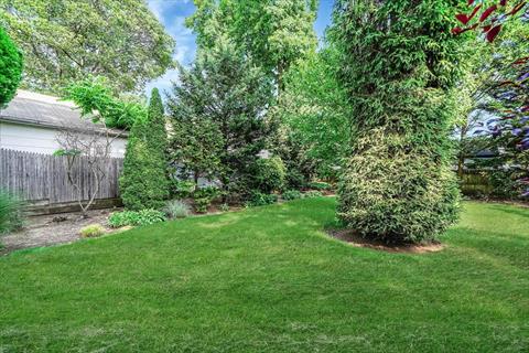 Yard