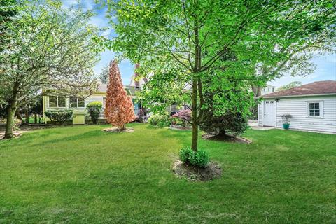 Yard