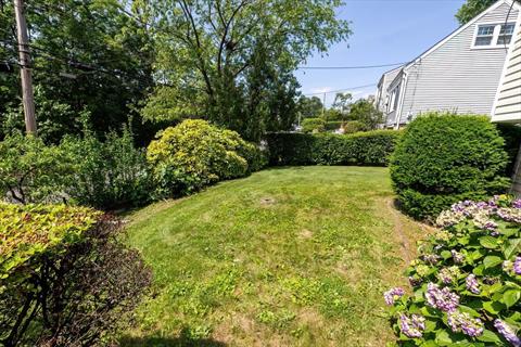 Yard