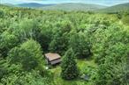 This charming 600 sqft. cabin is a turnkey retreat in the heart of the Catskills, thoughtfully updated to blend rustic character with updated design and boasts an open (yet tiny!) layout. The small-scale kitchen has open shelving, a gas range, and a custom stainless steel counter top ideal for both quiet mornings and busy evenings cooking. Two compact but comfortable sized bedrooms one queen and one twin, offer peaceful forest views. The bathroom includes a classic clawfoot tub/shower combo and thoughtful finishes that reflect the cabinâ€™s understated charm. Extensive upgrades include new electrical throughout the house, fresh interior paint and trim, and a newly added picture window. The home was structurally leveled with new beams and foundation, a French drain was installed, and the crawl space was insulated with spray foam and moisture barrier for energy efficiency and winterization. Set on a private grassy lot, the 1.77 acre property features mowed trails, a fenced-in garden, chicken coop, and berry bushes. With a little TLC itâ€™s ready for your backyard homesteading dreams. Located just 10 minutes from downtown Roscoe and 5 minutes from Russell Brook Falls, step out your backdoor to endless hiking, fly fishing, snowmobiling and more. The property offers the best of Catskills living seclusion, charm, and easy access to the outdoors! 15 minutes to Livingston Manor and under 2 hours to NYC.