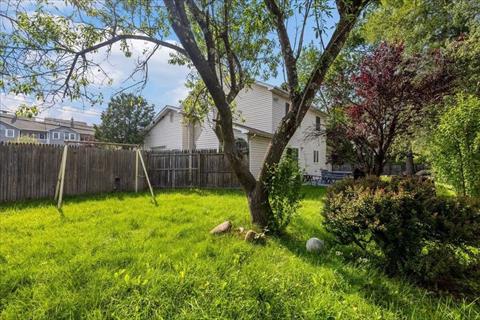 Yard