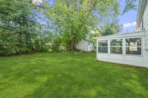 Yard
