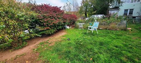 Yard