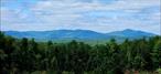 These 80 acres of prime mountain-view property are located in one of the most desirable areas in the Hudson Valley, Accord, N.Y. This is the perfect setting for executive estates, family compound or a resort/boutique inn. Positioned just west of the Mohonk Mountain House, set on the highest elevation between the Catskill and Shawangunk mountains, the property offers sweeping views of both mountain ranges from a multitude of possible building sites. The property is rolling and gently sloped sitting atop Ulster County&rsquo;s largest producing freshwater aquifer. Mature and young growth forest surround grassy openings which are all connected by roadway paths that suggest many options within a developmental design. A complete architect&rsquo;s dreamland. There is also a large spring fed swimming area for cooling summer swims and frosty fire-lit winter skating. This is a true nature paradise in a perfect location with spectacular views and favorable Hamlet District Zoning (1 acre minimum per dwelling unit and commercial business allowed). This property offers an unequalled opportunity of investment in the best of living and experiences in the Hudson Valley. Parcels 76.2-3-8.117 is 42+ acres & 76.2-3-8.115 is 38+ acres.