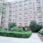 Welcome to specious One Bedroom co-op apartment nested in the heart of Forest Park. Southern exposure and court yard views. Large bedroom with 2 windows and 2 closets, specious living room and dining area. Total of 4 closets. Electric, gas, heat, water & real estate taxes are included in low monthly maintenance. Very well maintained building with on-site laundry, storage and bike room. Nearby: Band shell with summer free concerts, Playgrounds, carousal, skate board park, golf course, tennis court, running track, soccer & baseball fields. Close to shops and transportation. No subletting allowed. Wall to wall carpet required. No pets allowed. Waitlist Parking.