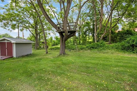 Yard