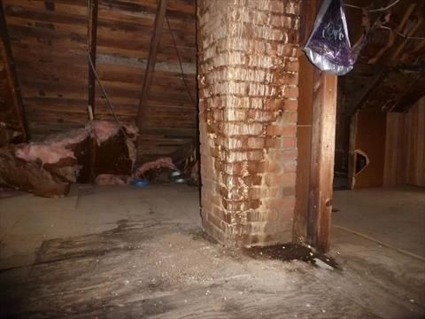 Attic