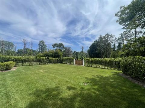 Yard