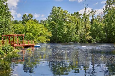 Pond