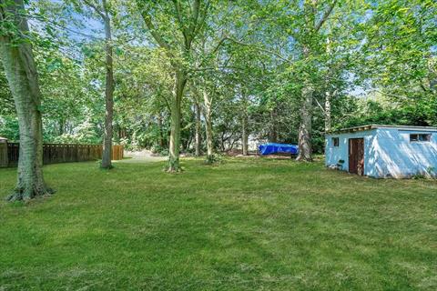Yard