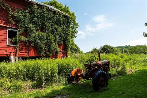 Barn