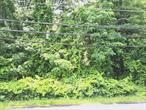 Build your dream home or explore investment opportunities on this beautiful 1.3-acre parcel in Yaphank. Located on Yaphank Middle Island Road, this wooded and level lot offers approximately 102 feet of road frontage and stretches back over 579 feet. Situated on a county road, this private and spacious lot provides the perfect setting for a custom residence or retreat. Donâ€™t miss the chance to own a generous piece of land in a peaceful, natural setting.