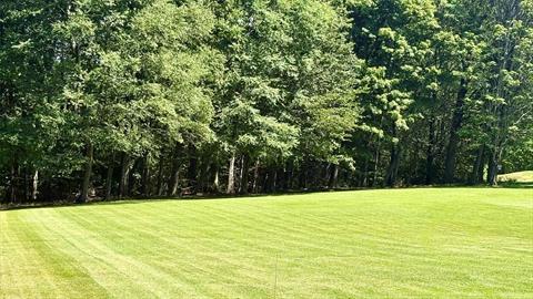 Yard