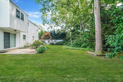Yard
