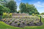 Come see this much sought-after 2 bedroom, 2.5 bath, lower unit in a cul-de-sac in fabulous Encore Lake Grove!! This super-clean ground floor unit with eat-in kitchen leading to walk-out patio, primary bedroom with en-suite bath on main level, oak hardwood floors, attached garage with driveway, provides a clean slate for the new owner. Encore is a luxury 55+ active lifestyle community that has it all! The beautiful clubhouse - a true gathering place - boasts card rooms, billiard room, gym, indoor heated saltwater pool, saunas, and many events and clubs. Outdoors are heated saltwater pool with hot tub, tennis and pickleball courts, putting green, bocce, shuffleboard, ping pong, fireplace, barbeque, sunny and shaded areas perfect for relaxing quietly/socializing. Encore is a gated community with a 24-hour manned gatehouse. Pets allowed. Located across from Smithhaven Mall, Stony Brook Medical, Trader Joe&rsquo;s, Whole Foods, Costco, AMC Movie Theater, Lowe&rsquo;s, Marshall&rsquo;s, Wegman&rsquo;s, etc., and SO many restaurants! IT DOESN&rsquo;T GET BETTER, OR MORE CONVENIENT, THAN THIS!!One time initiation fee - $3000.00 / Low annual Village tax - $278.32