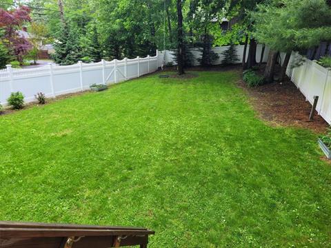 Yard