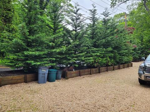 Yard