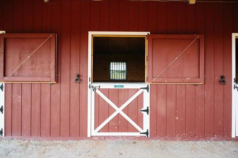 Stable