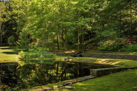 Pond