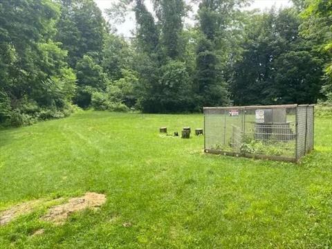 Yard