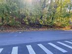 Build your dream home on over half an acre in the sought-after Ardsley School District! Positioned along Ashford Avenue in the charming village of Dobbs Ferry, this rare residential vacant land offering spans 0.63 acres across two adjoining parcels, providing an oversized canvas for your vision. Whether youâ€™re a builder seeking your next project or a homeowner ready to create your forever home, this property offers the flexibility you need, with potential subdivision possibilities to explore.Enjoy the convenience of schools nearby, including Concord Road Elementary, Ardsley Middle, and Ardsley High School, along with easy access to vibrant shopping and dining at Rivertown Square, Stop & Shop, Ardsley Plaza, and Ridge Hill. Commuting is effortless with the NYS Thruway (I-87) and Saw Mill River Parkway just moments away, connecting you to NYC and surrounding areas with ease. Buyers and their agents are encouraged to conduct their due diligence regarding necessary permits, approvals, and utility connections with the Village of Dobbs Ferry and the Town of Greenburgh. Donâ€™t miss this exceptional opportunity to build in a high-demand Rivertowns location, offering the perfect blend of suburban tranquility and convenience.