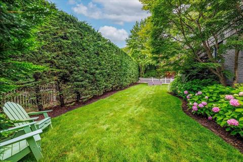 Yard