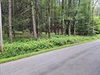 Take a look at this attractive undeveloped and tree covered land, approximately 5.6 acres. This level parcel of land is ideally suited to build your dream home in the woods. Approximately 200 feet road frontage on Hurd and Parks Road with a depth of 1200&rsquo;+/-. Situated a short distance from Kauneonga and White Lake for local shopping and lakeside dining, ice cream and Bethel Woods Center for the Arts.