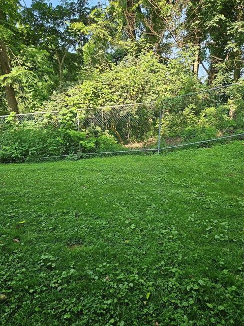 Yard