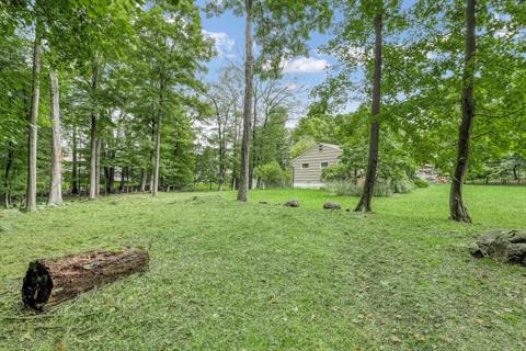 Yard