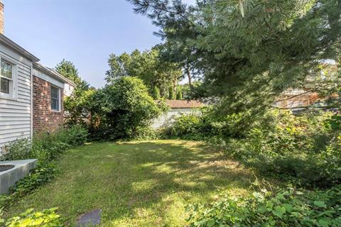 Yard