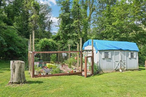 Yard