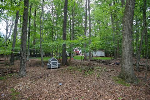 Yard