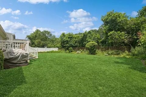 Yard