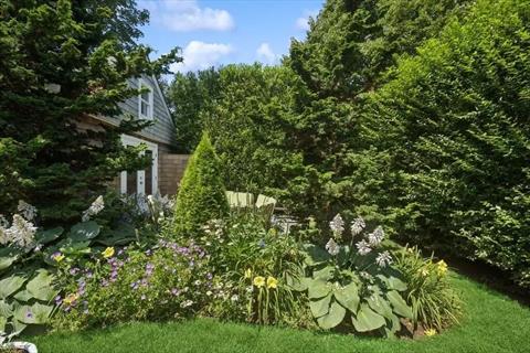 Yard