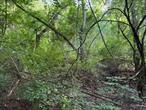 BUILD YOUR NEW HOME HERE!!! Great opportunity in a quiet neighborhood, minutes to everything.