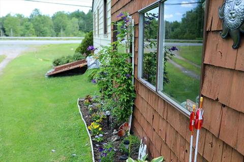 Yard