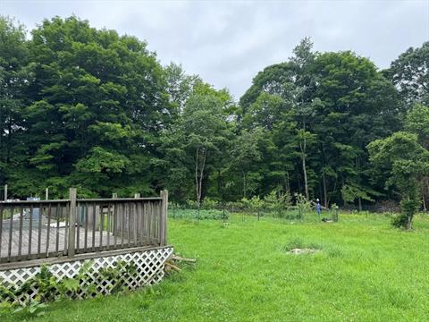 Yard