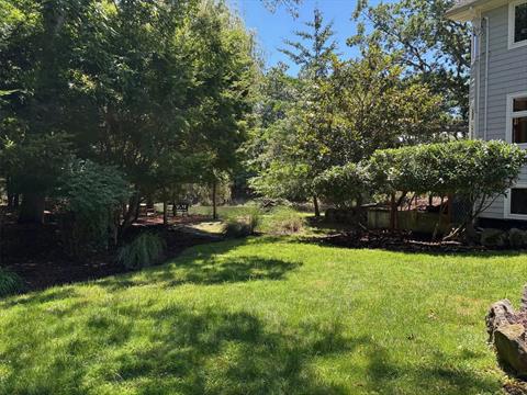 Yard