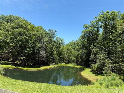 Pond
