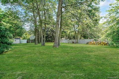 Yard